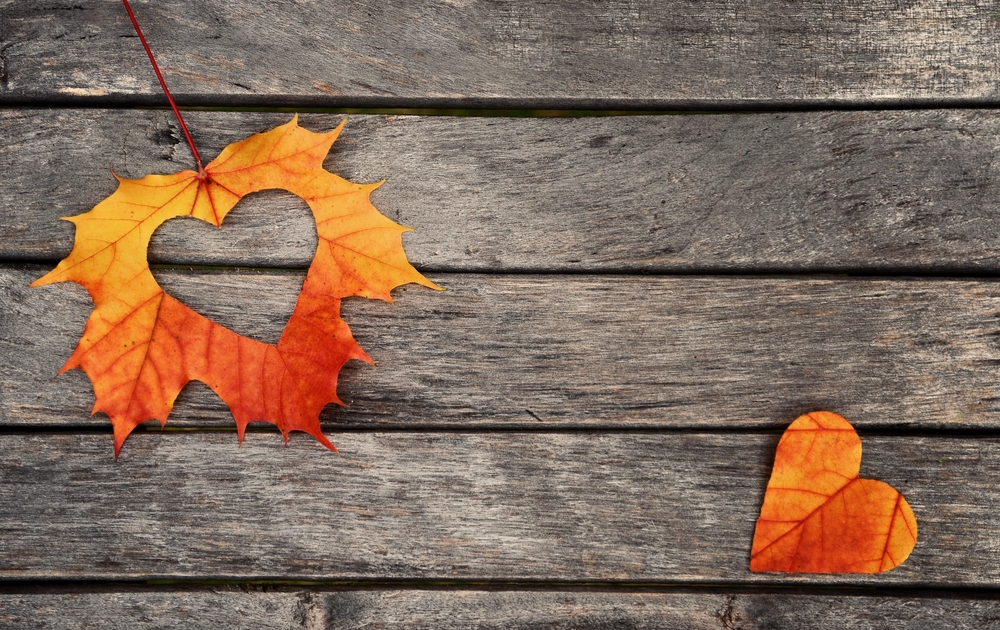 Autumn,red,and,orange,leaves,with,heart.,fall,wooden,background.